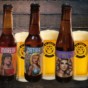 Arma tu  PACK de Cervezas de Mr. Cool Cat